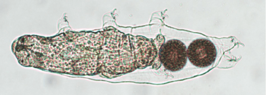 Inspiring the next generation of scientists with water&nbsp;droplets